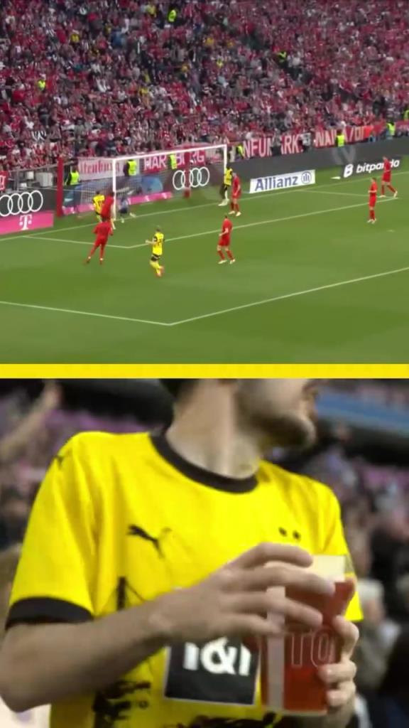 勇者無懼！這是真多特球迷！在拜仁球迷區(qū)一個人肆意慶祝！